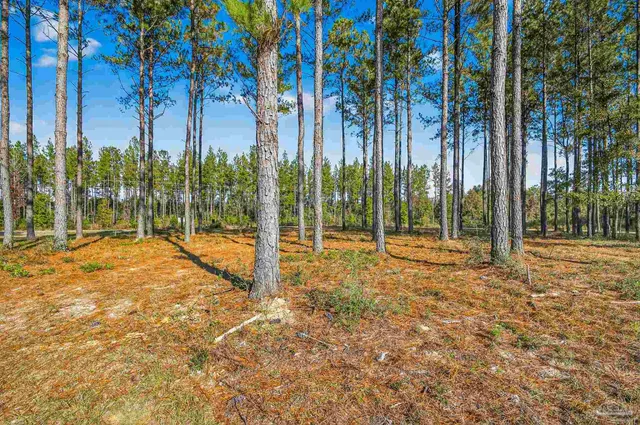 a house with trees in the background