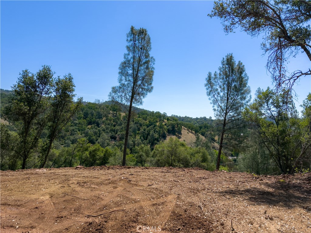 10 Miller Road Mariposa, CA 95338 - Photo 20 of 34 a wooden view of a road with a trees in the background