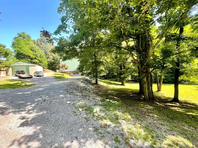 a view of a backyard