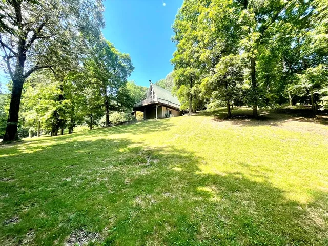 a view of yard with large trees