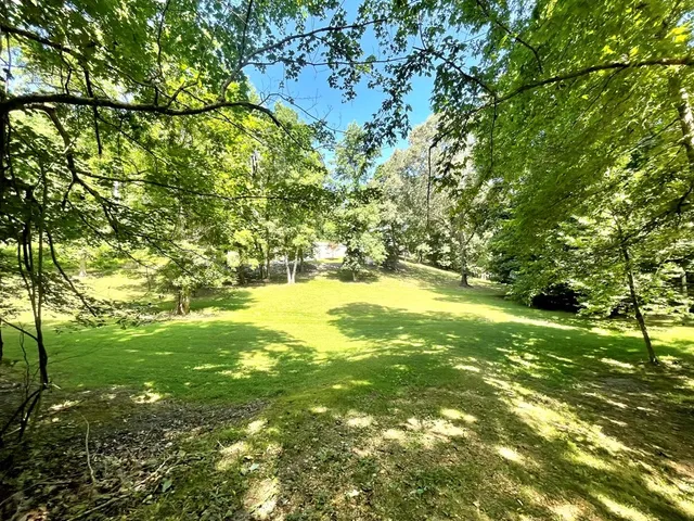 a view of outdoor space with garden