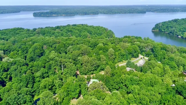 a view of a plant in a garden