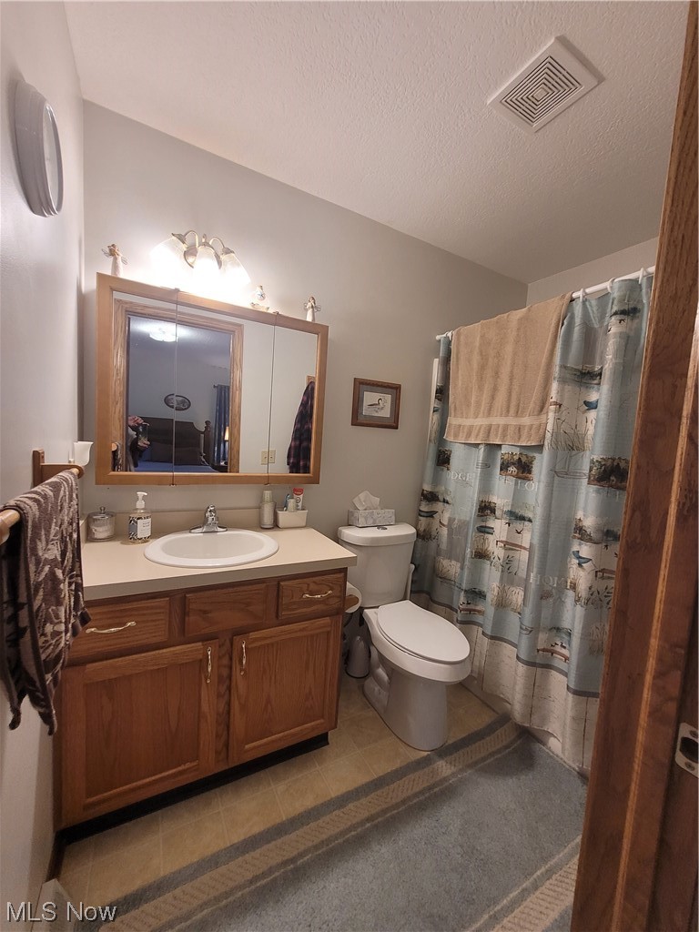 6030 Macaw Road Minerva, OH 44657 - Photo 21 of 34 Bathroom featuring a textured ceiling, vanity, tile flooring, and toilet