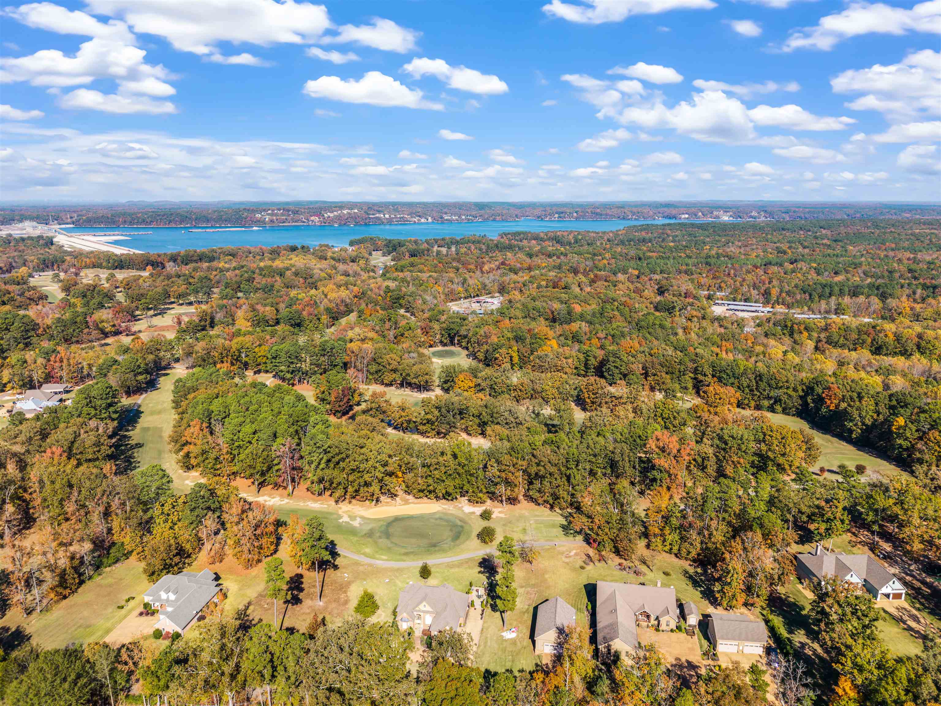 140 Legends Drive Counce, TN 38326 - Photo 29 of 30 Aerial view of property and surrounding area featuring a large body of water and a forest