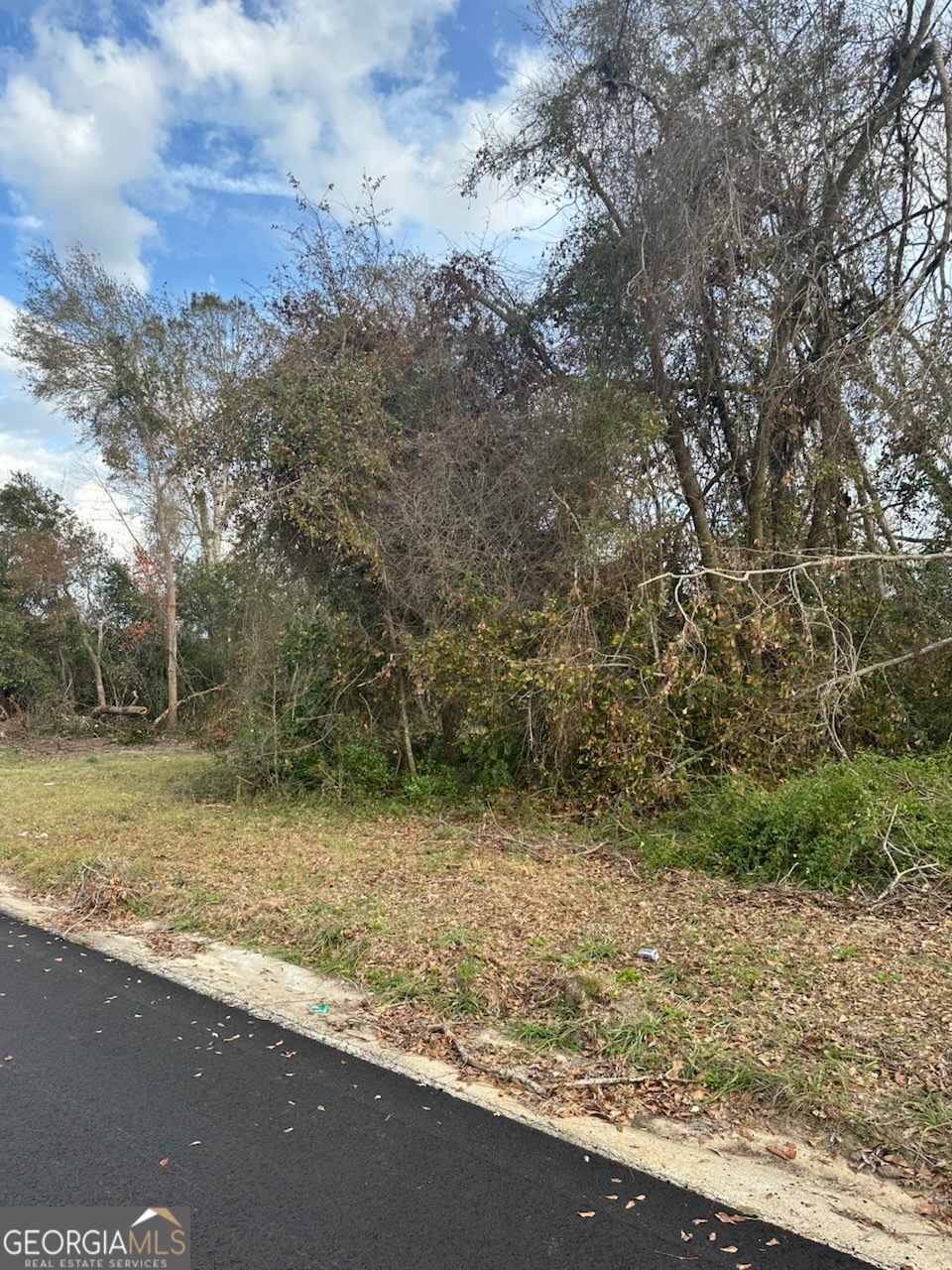 a view of a yard with a tree