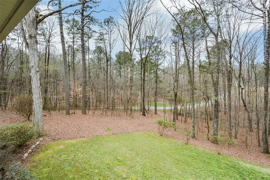 883 Tilley Road Talking Rock, GA 30175 - Photo 17 of 88