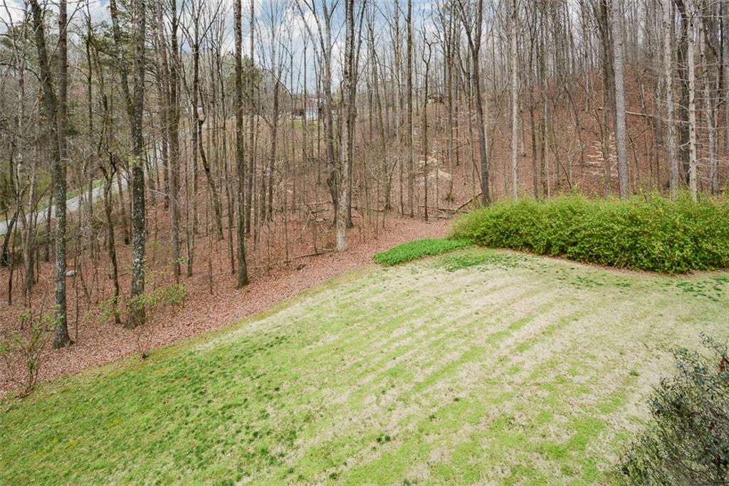 883 Tilley Road Talking Rock, GA 30175 - Photo 19 of 88 a view of backyard with tub and trees