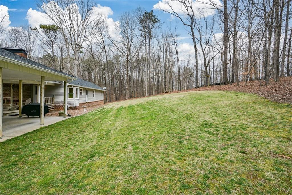 883 Tilley Road Talking Rock, GA 30175 - Photo 20 of 88 a view of a back yard of the house