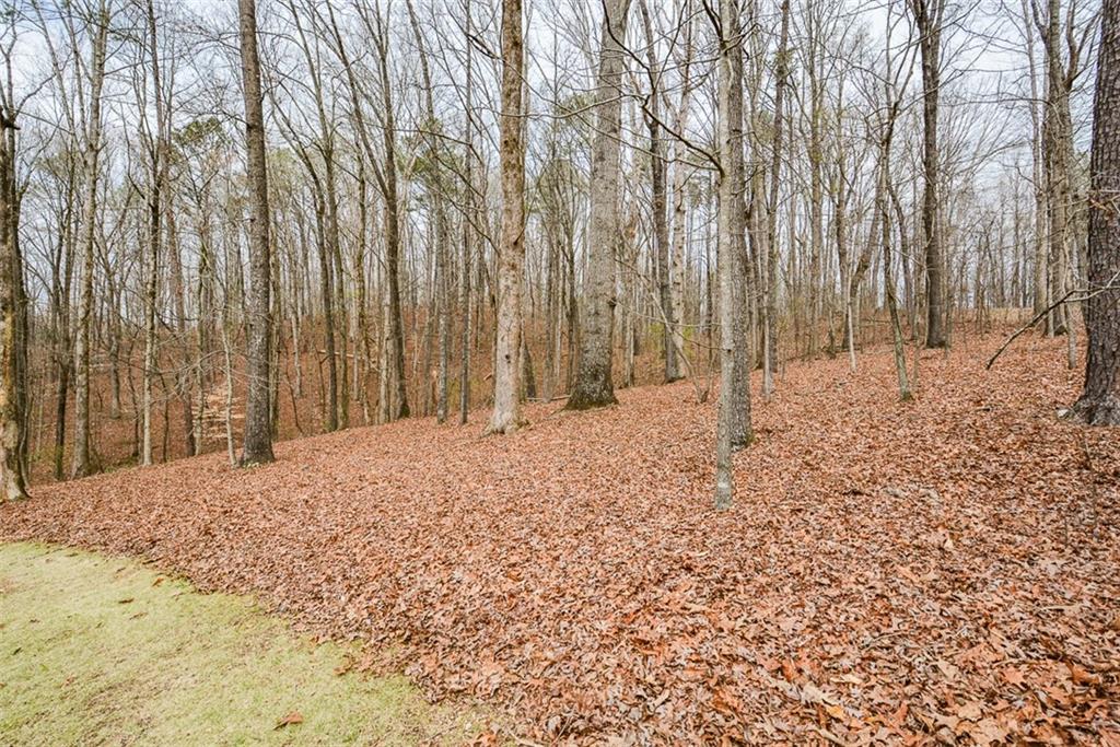 883 Tilley Road Talking Rock, GA 30175 - Photo 66 of 88 a view of a backyard of the house