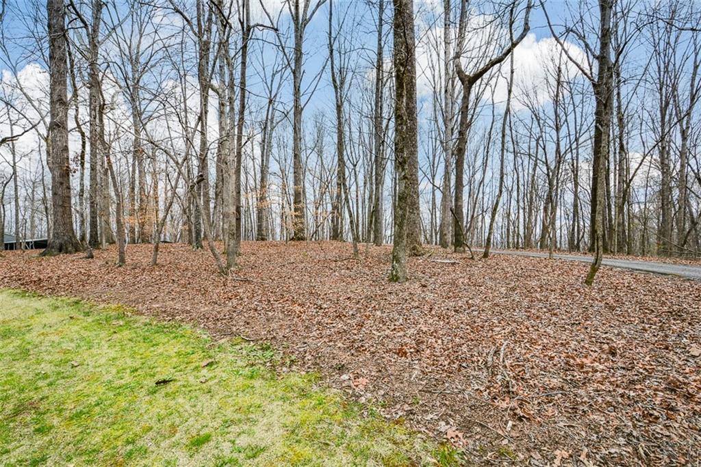883 Tilley Road Talking Rock, GA 30175 - Photo 68 of 88 a view of a backyard of the house