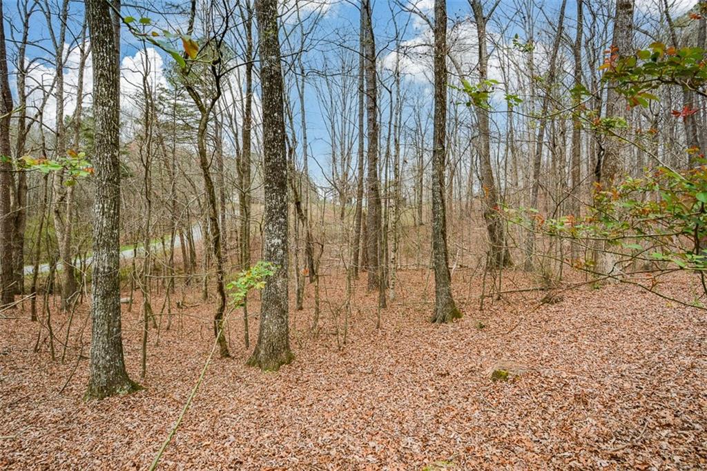 883 Tilley Road Talking Rock, GA 30175 - Photo 69 of 88