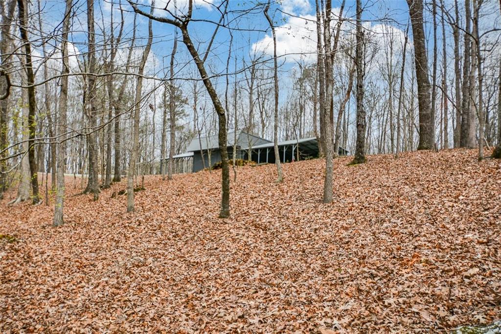 883 Tilley Road Talking Rock, GA 30175 - Photo 71 of 88 a view of a yard with large trees