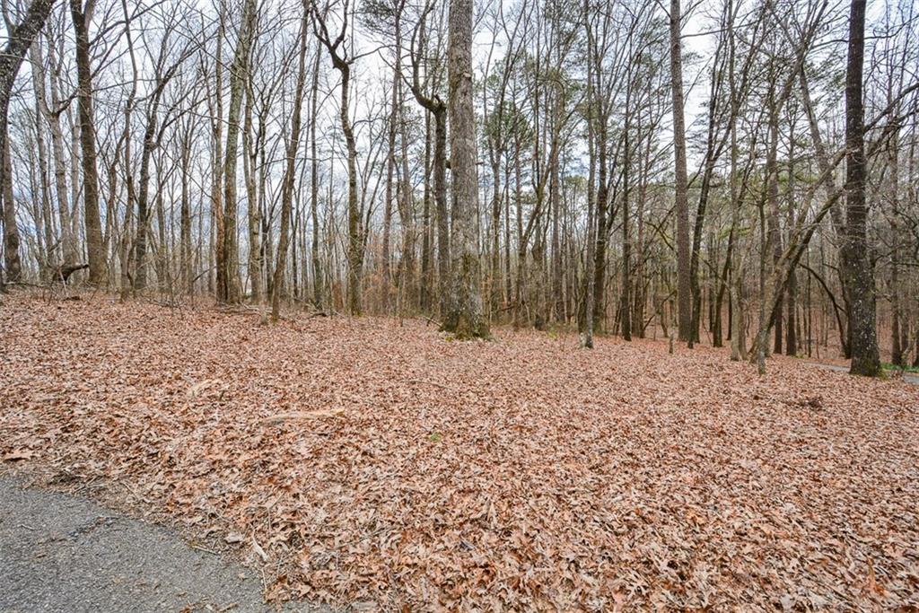 883 Tilley Road Talking Rock, GA 30175 - Photo 72 of 88