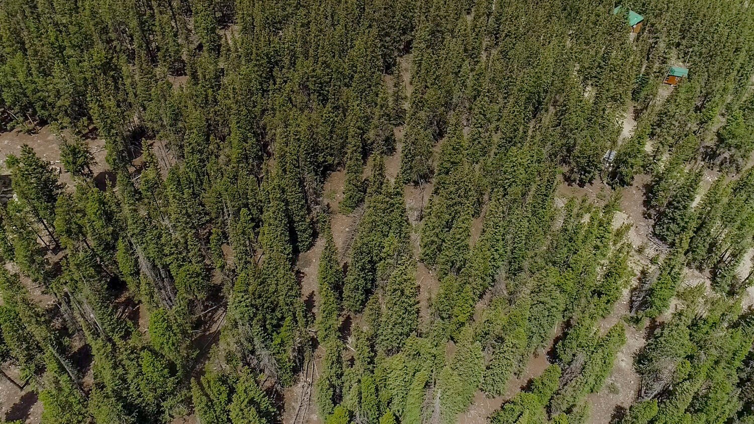 503 Golden Hills Road Fairplay, CO 80440 - Photo 24 of 36 View of property location with a heavily wooded area