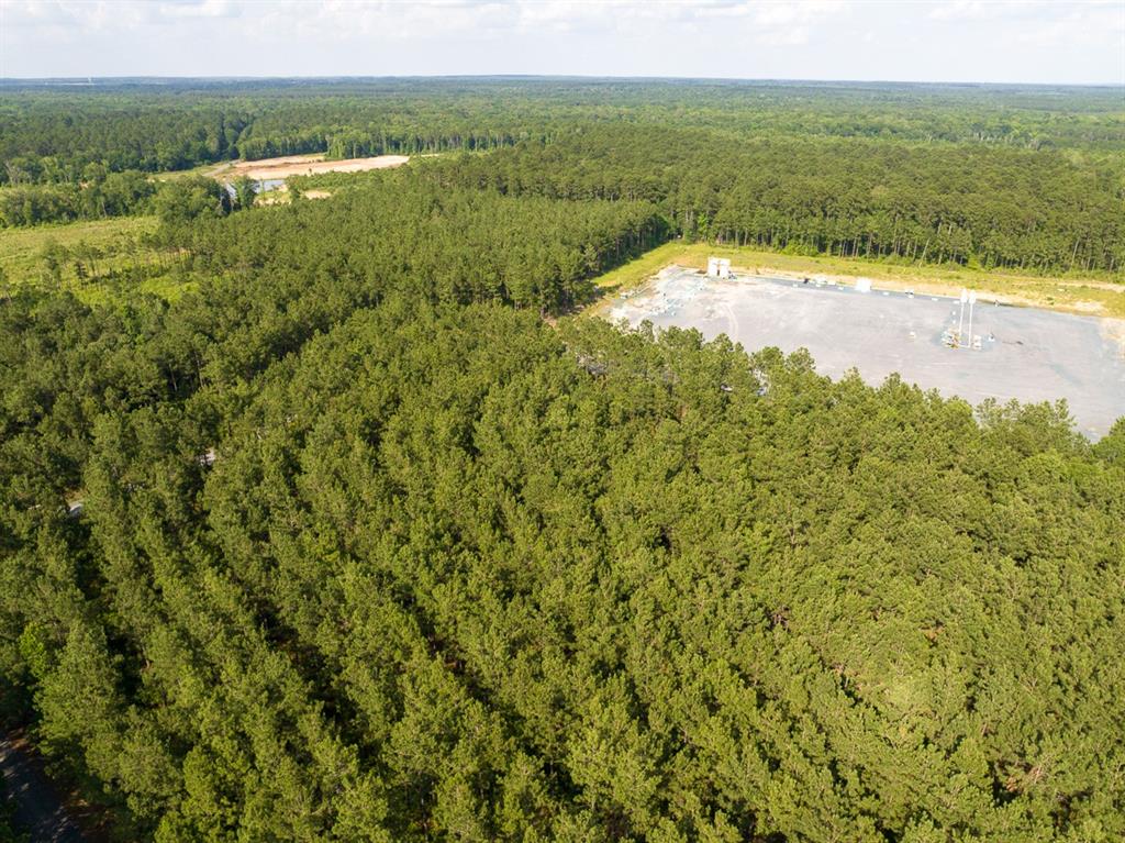 0 Sam Booker Road Mansfield, LA 71052 - Photo 6 of 9