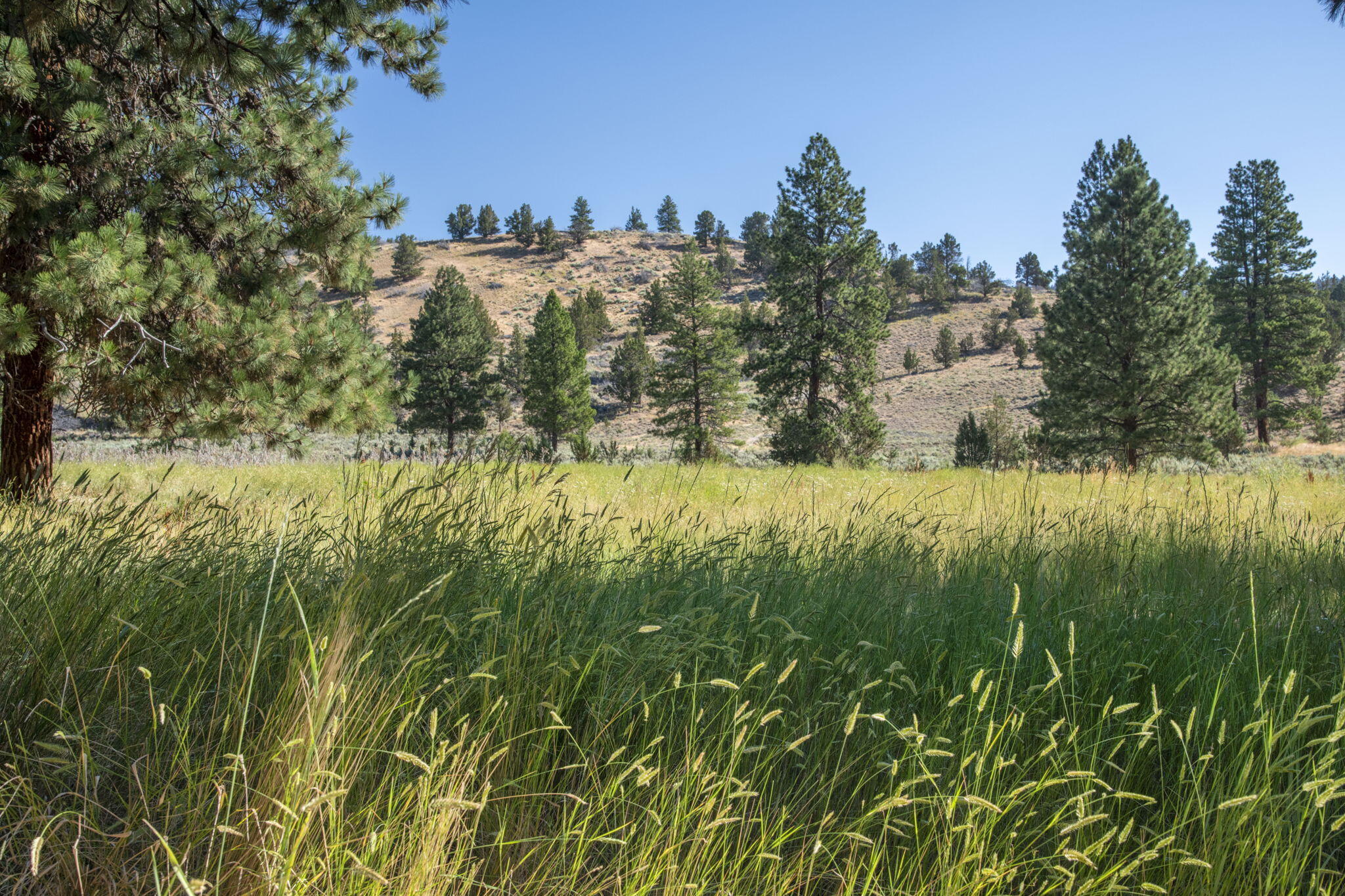 32500 Tackman Road Prineville, OR 97754 - Photo 72 of 112