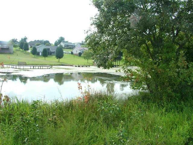 Lot 5 New Union Road Dayton, TN 37321 - Photo 12 of 14 20200694-11