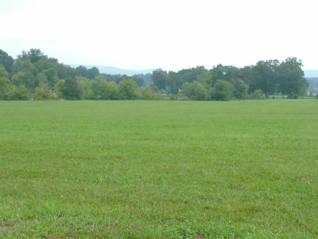 Lot 5 New Union Road Dayton, TN 37321 - Photo 4 of 14 20200694-3