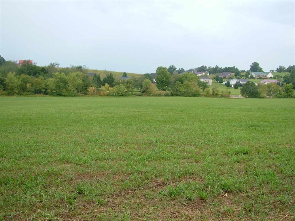 Lot 5 New Union Road Dayton, TN 37321 - Photo 5 of 14 20200694-4