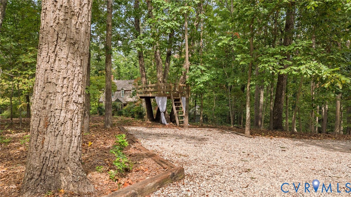 2831 Earlswood Road Midlothian, VA 23113 - Photo 42 of 47 a view of backyard with green space