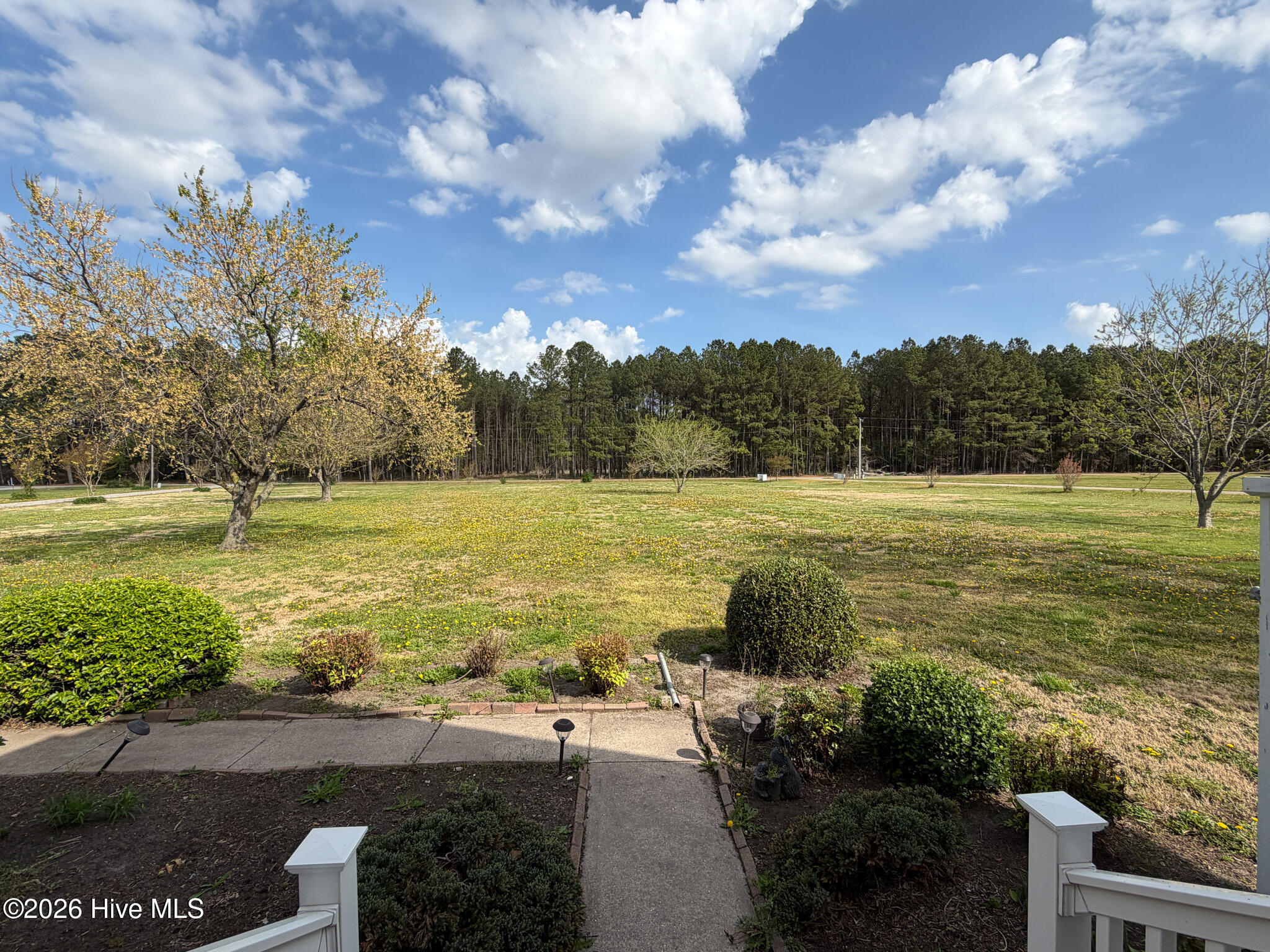 121 Scotland Road Camden, NC 27921 - Photo 28 of 46 Front Yard