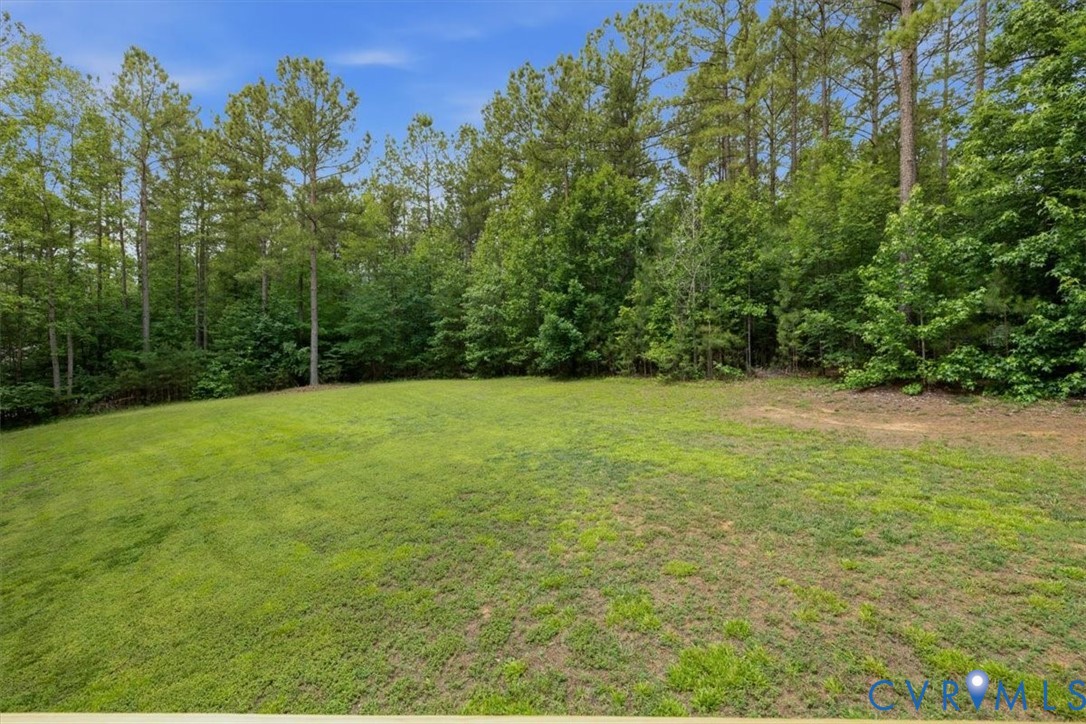 1905 Lower Mill Road Powhatan, VA 23139 - Photo 34 of 41