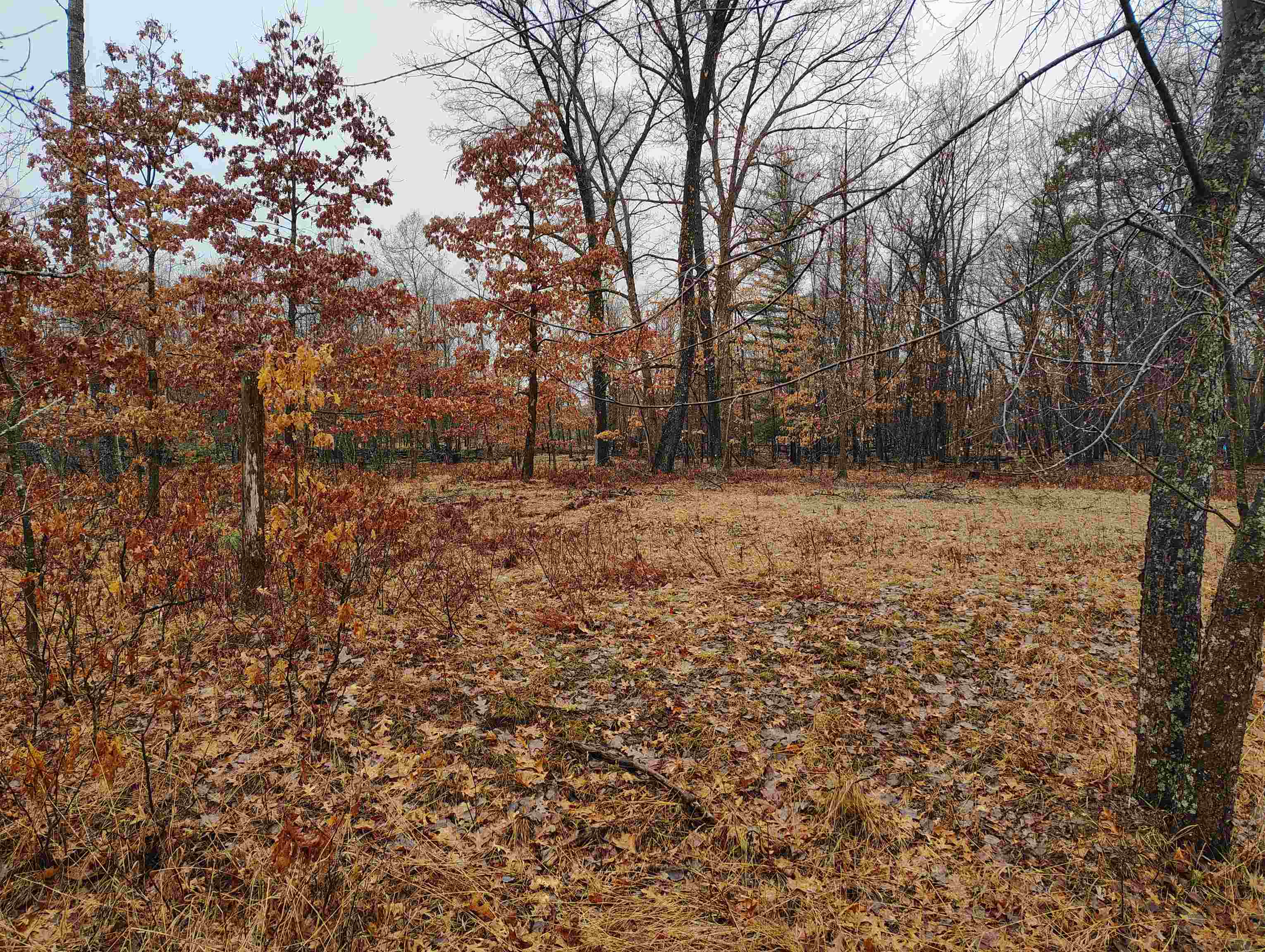 0 Maple Road, Unit LOT: 88 LOT: 88 Gladwin, MI 48624 - Photo 5 of 15