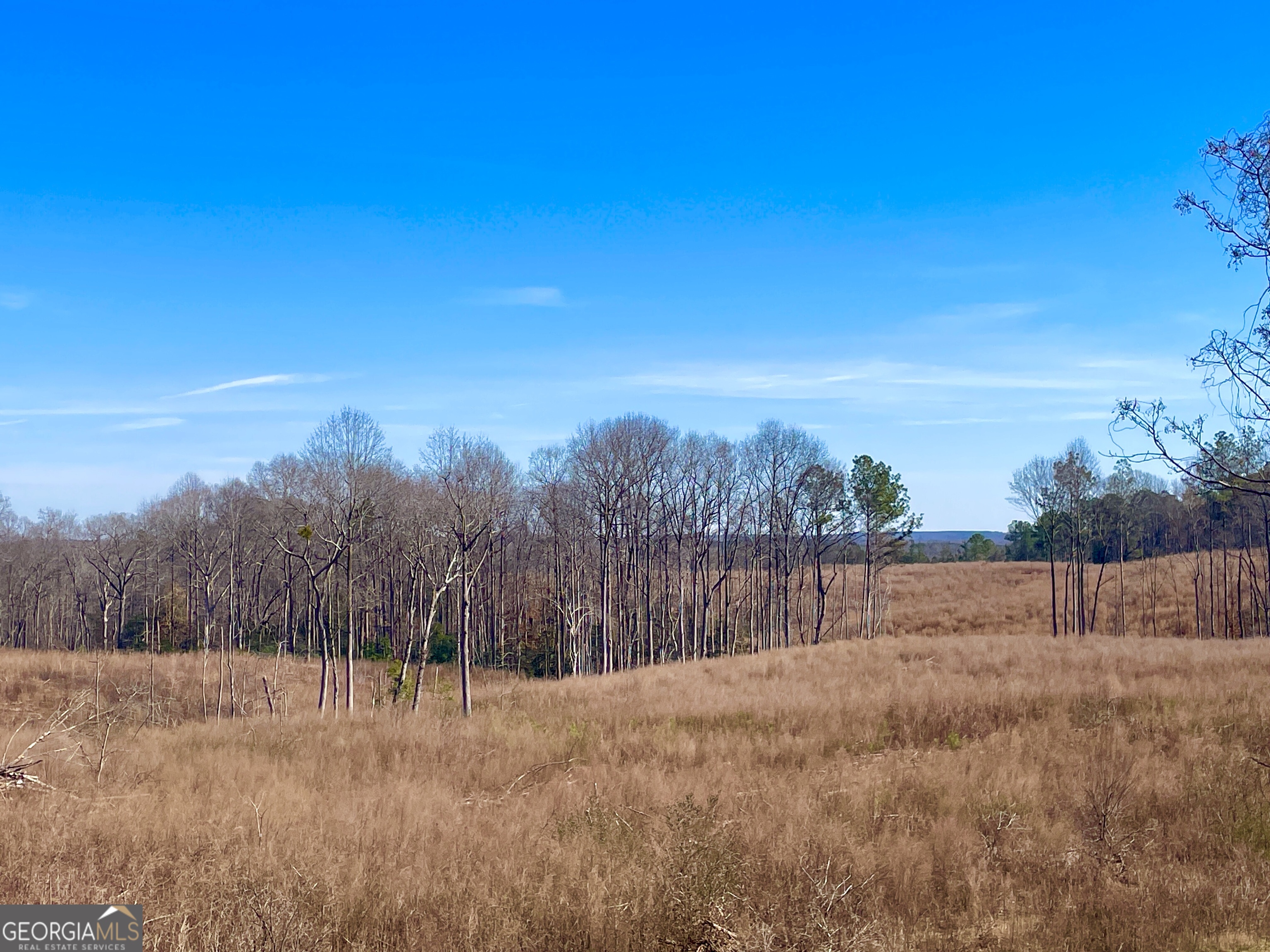 0 Parham Town Road Bowman, GA 30624 - Photo 1 of 1
