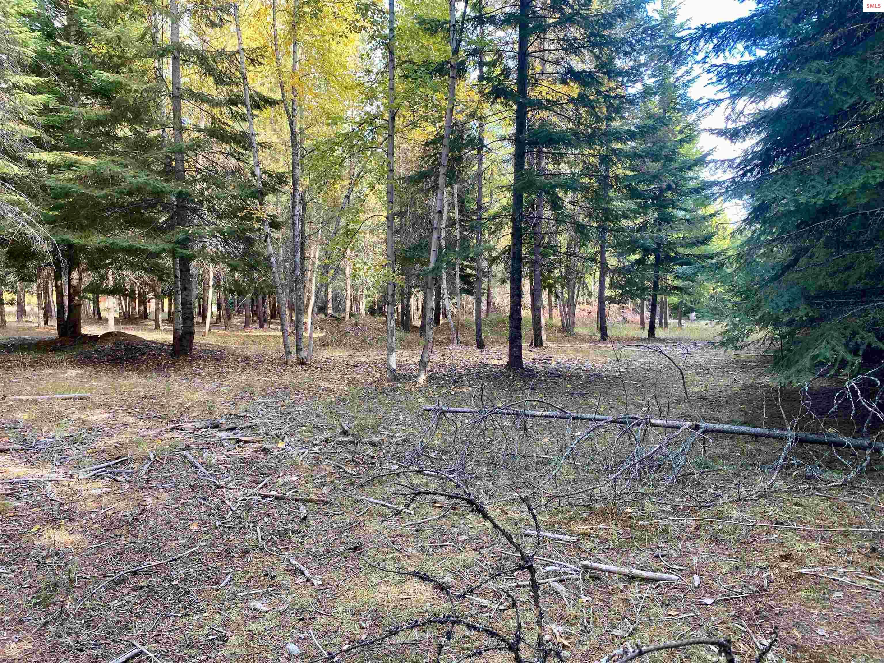 Nna Cougar Road Naples, ID 83847 - Photo 23 of 43 Gallery Image 23