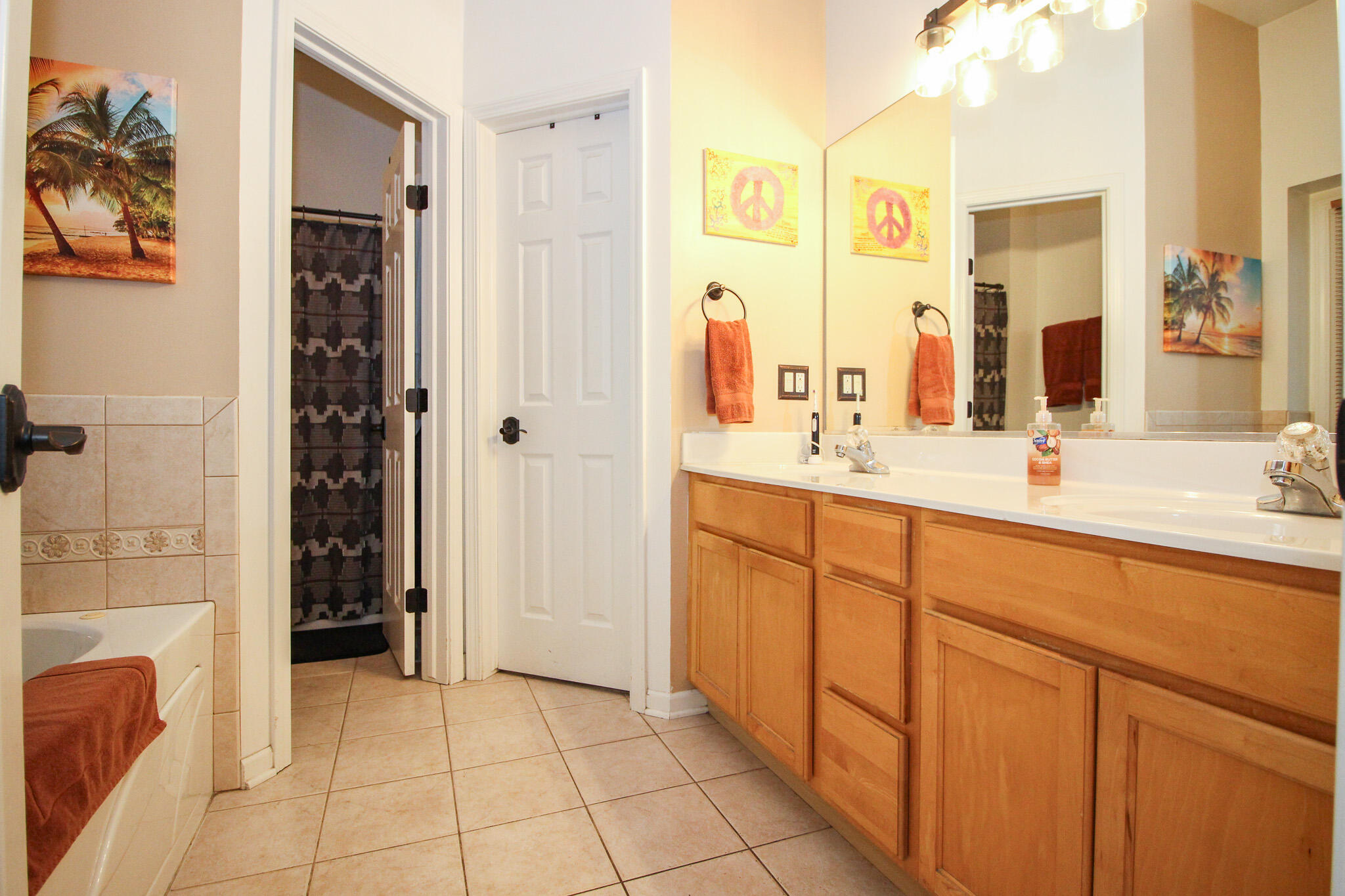 1403 Edgewater Road Crown Point, IN 46307 - Photo 18 of 43 a bathroom with a sink a mirror and a shower