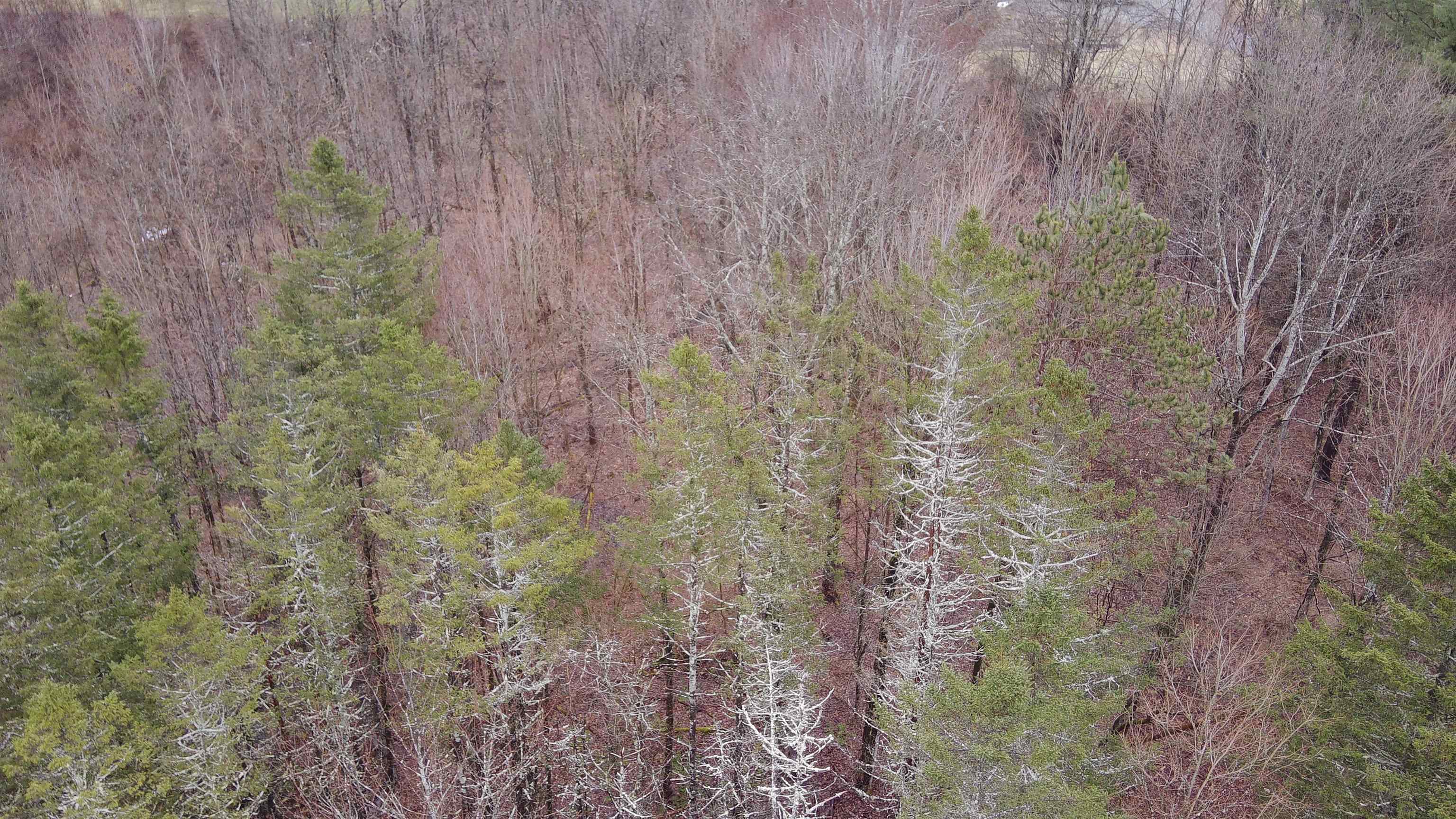 0 Guild Hill Road Waterbury Center, VT 05677 - Photo 3 of 5