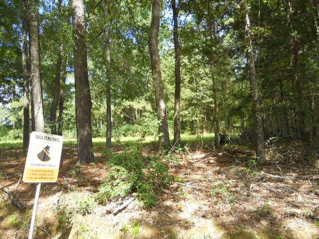 29 Locker Road Deville, LA 71328 - Photo 2 of 7