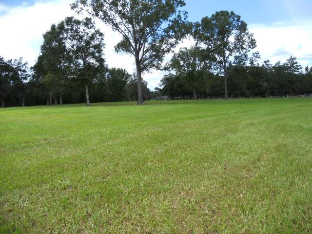 29 Locker Road Deville, LA 71328 - Photo 3 of 7