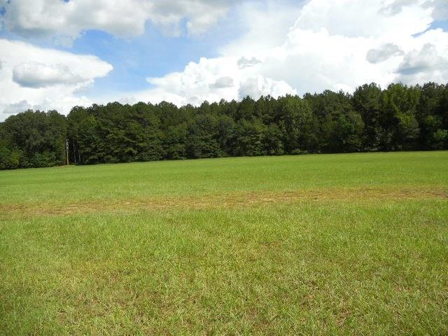 29 Locker Road Deville, LA 71328 - Photo 5 of 7