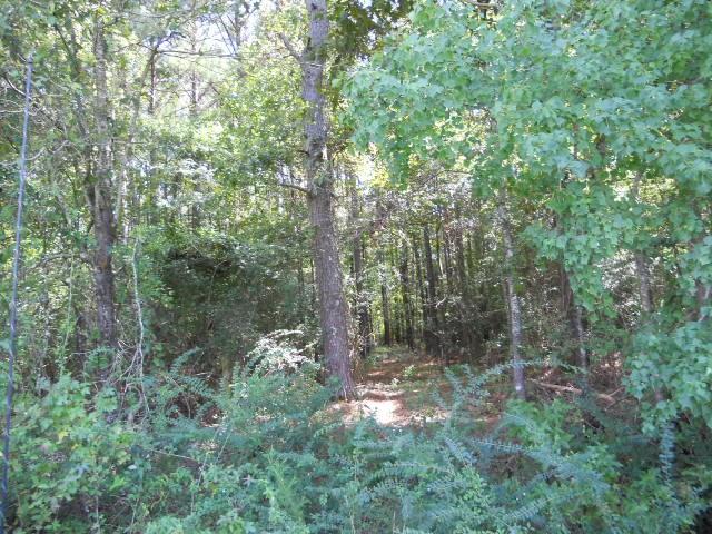 29 Locker Road Deville, LA 71328 - Photo 7 of 7