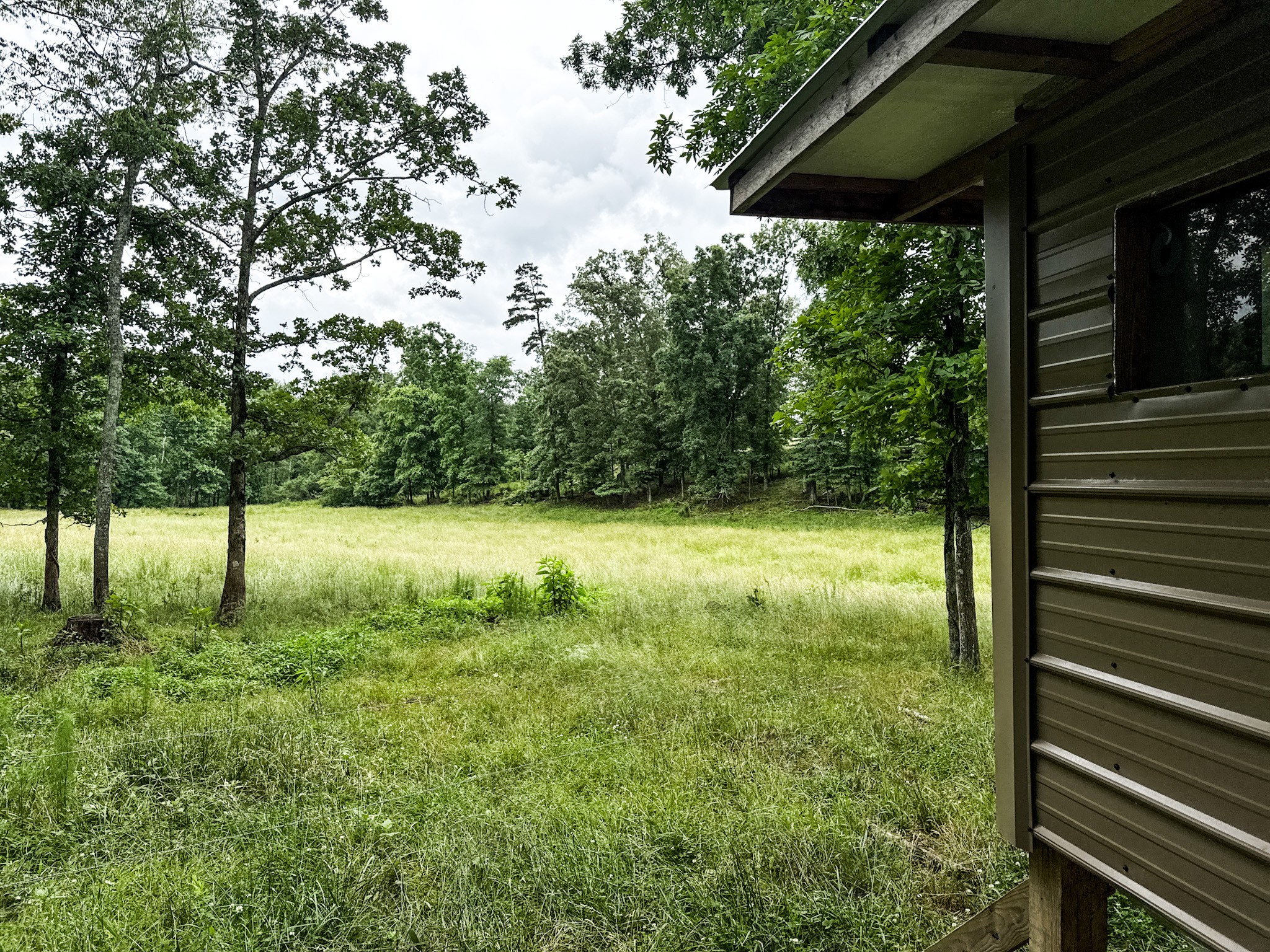 0 David Patterson Road Lutts, TN 38471 - Photo 57 of 58