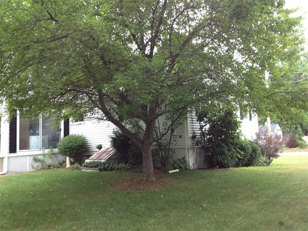 16 Paxton Road Spencer, MA 01562 - Photo 4 of 29 Gallery Image 4