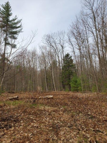 236 South Livermore Road Turner, ME 04282 - Photo 3 of 14 3