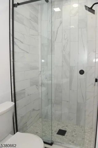 a bathroom with a shower and toilet