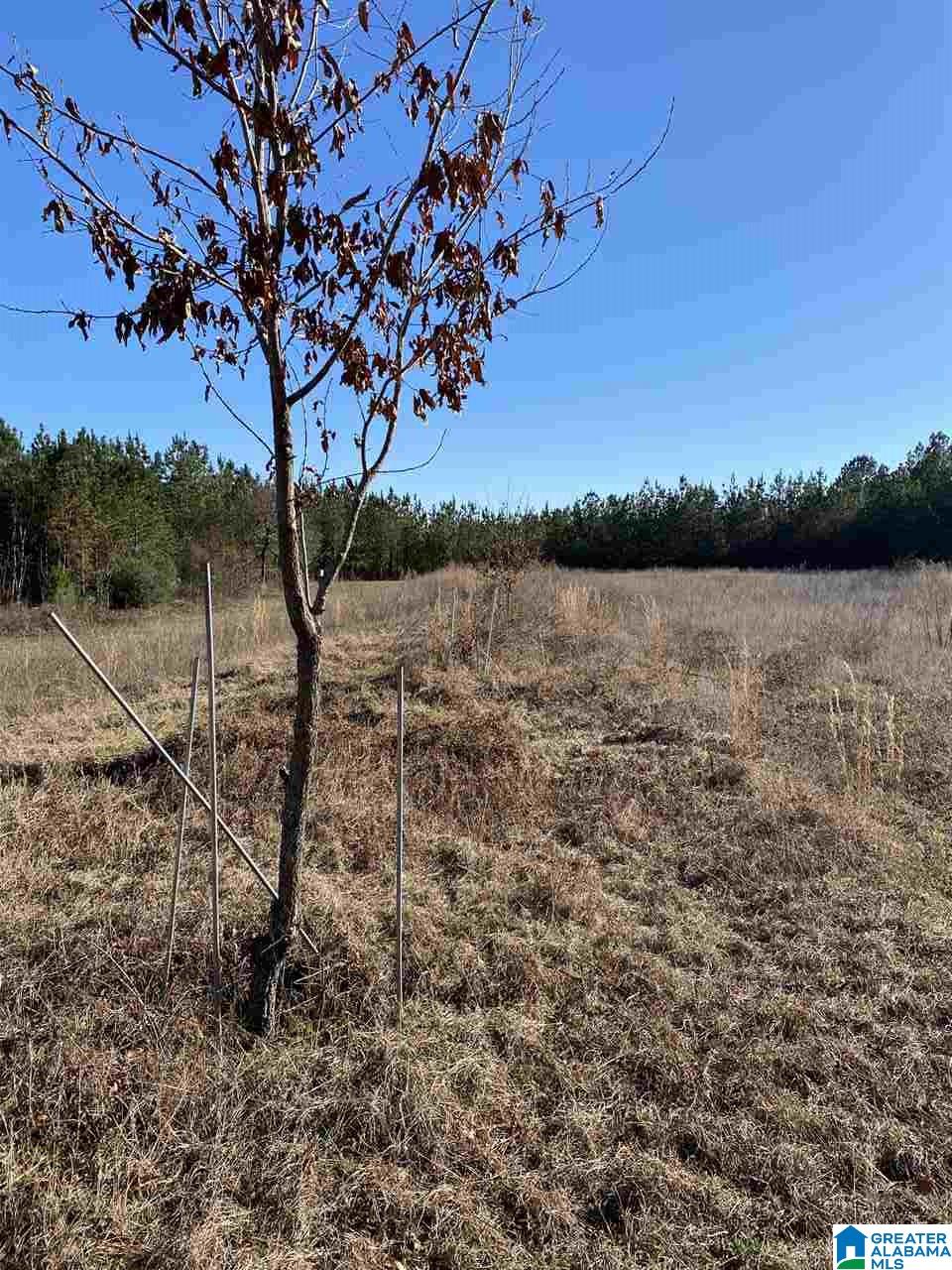 0 Mcgee Road, Unit 4 Prattville, AL 36067 - Photo 10 of 15