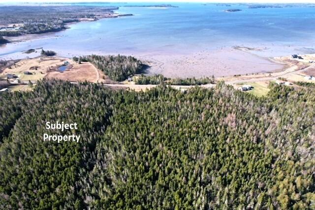 Lot 29 Cutler Road Whiting, ME 04691 - Photo 2 of 9