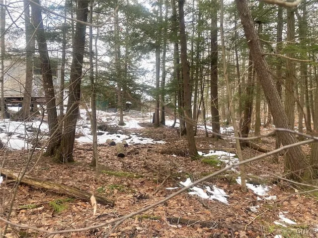 $198,900 | 10353 Rogers Road, Centerville, NY 14735