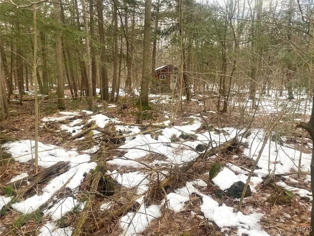 $198,900 | 10353 Rogers Road, Centerville, NY 14735