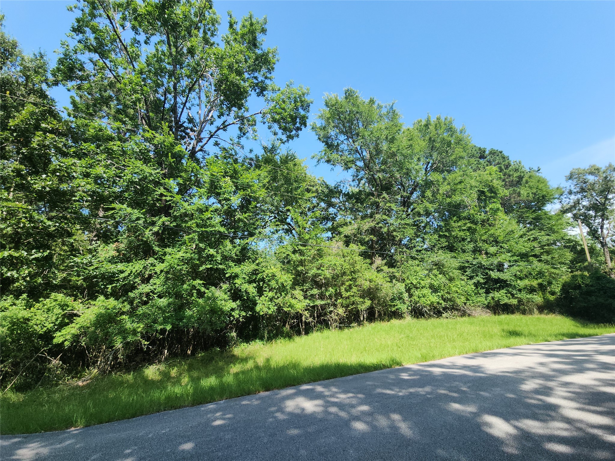 0 Red Oak Lane Trinity, TX 75862 - Photo 1 of 12 Imagine building your dream home on this 1.22 acre wooded lot in The Landing on Lake Livingston.