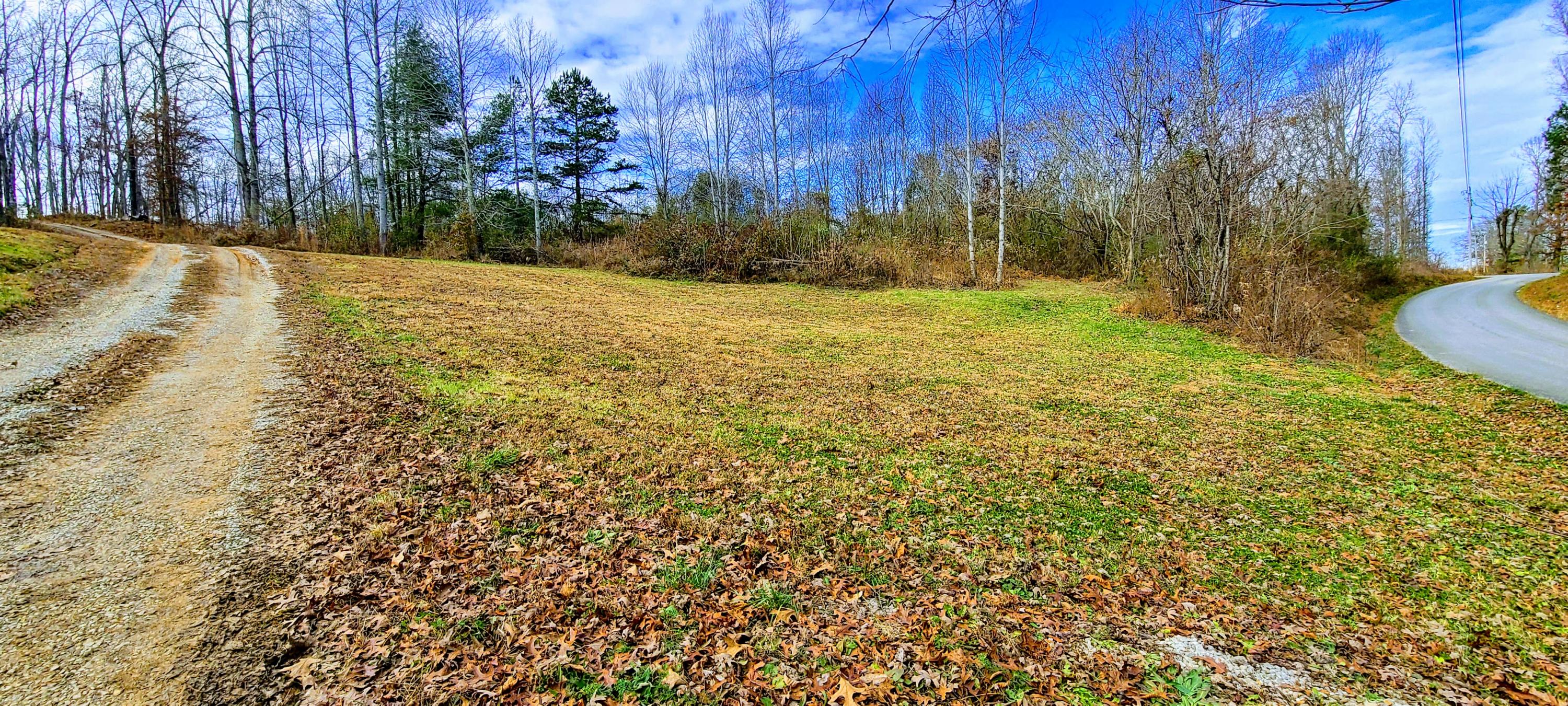 429 Pea Ridge Road Sunbright, TN 37872 - Photo 29 of 38 Yard