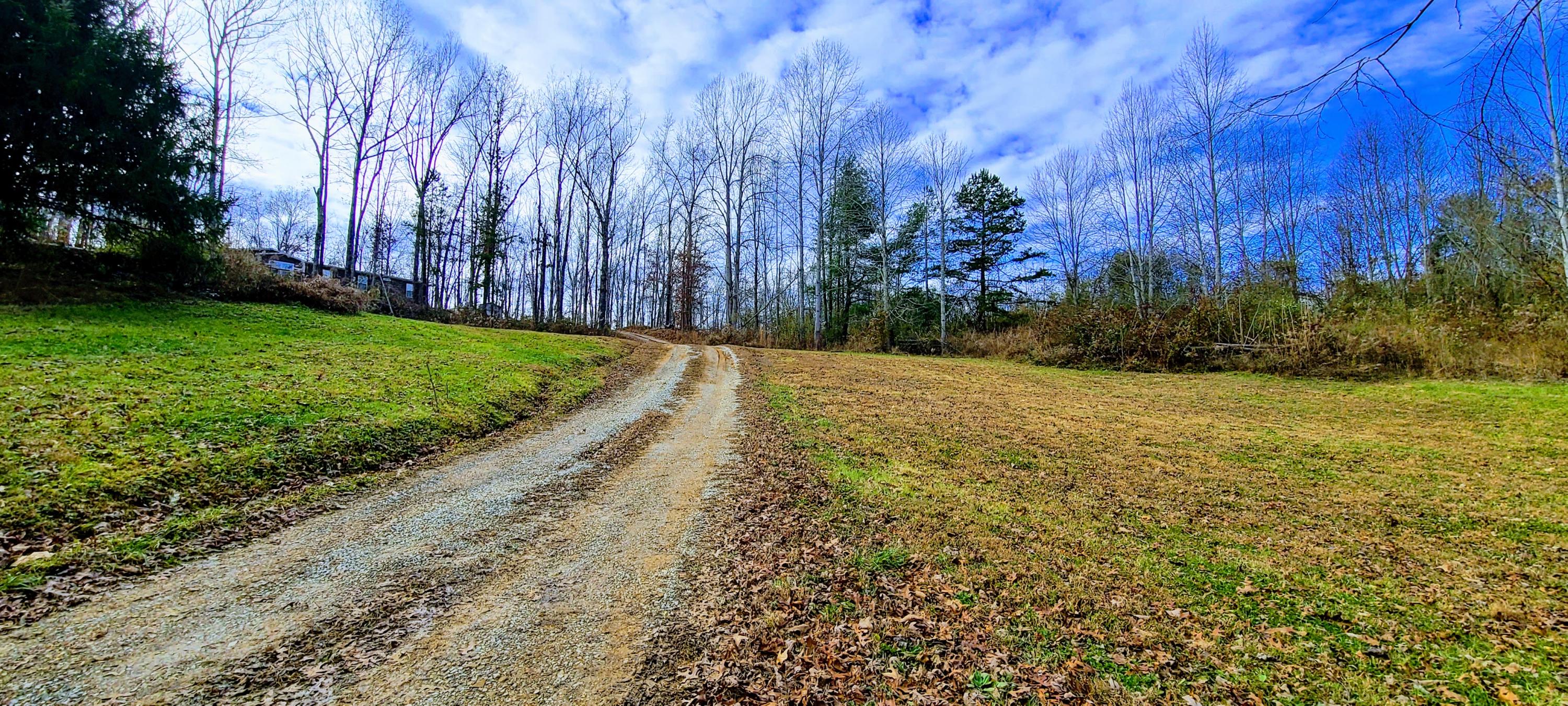 429 Pea Ridge Road Sunbright, TN 37872 - Photo 30 of 38 Yard