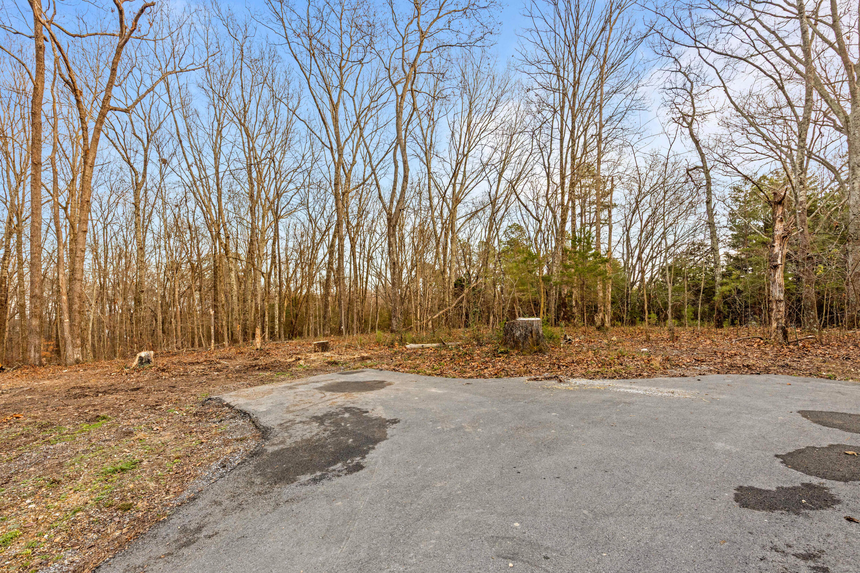 413 Harp Switch Road Chickamauga, GA 30707 - Photo 73 of 101 HarpSwitch-57