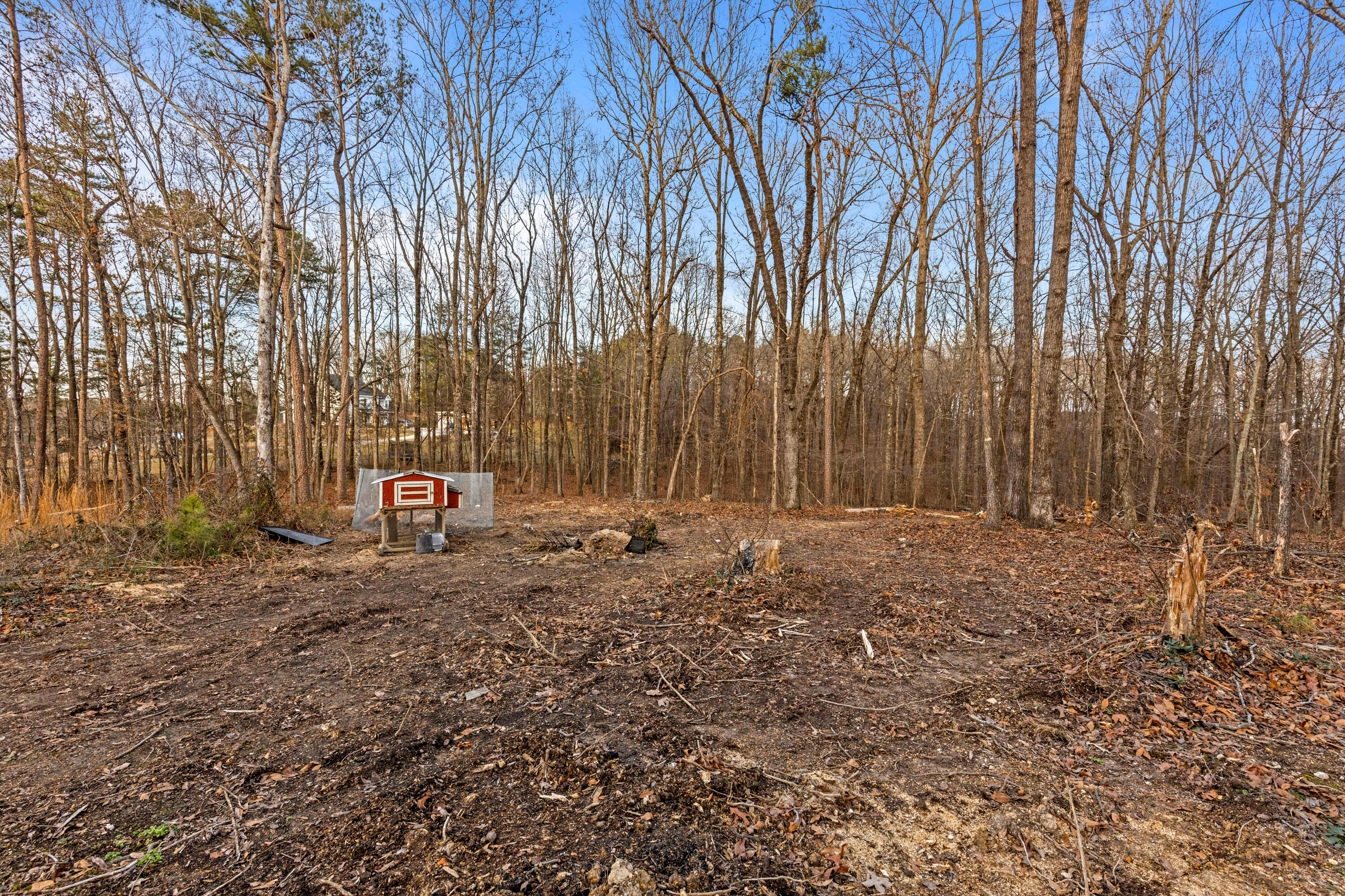 413 Harp Switch Road Chickamauga, GA 30707 - Photo 74 of 101 HarpSwitch-58