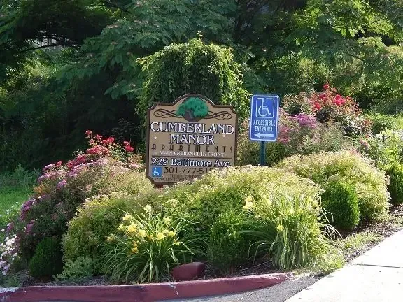 a living room with furniture a rug and a floor to ceiling window