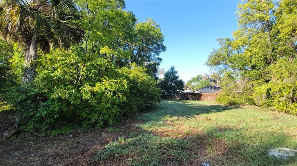 Property Location Island DeLand, FL 32724 - Photo 1 of 9 a view of a yard with a tree